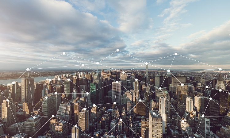 red_edificios red edificios