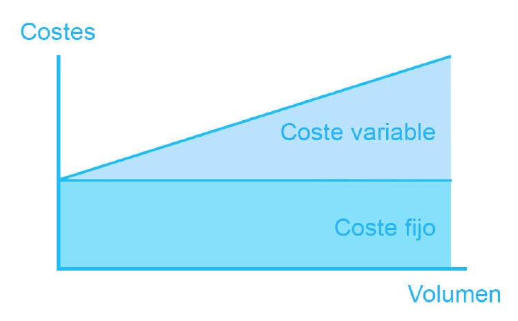 costes variables y fijos costes variables y fijos