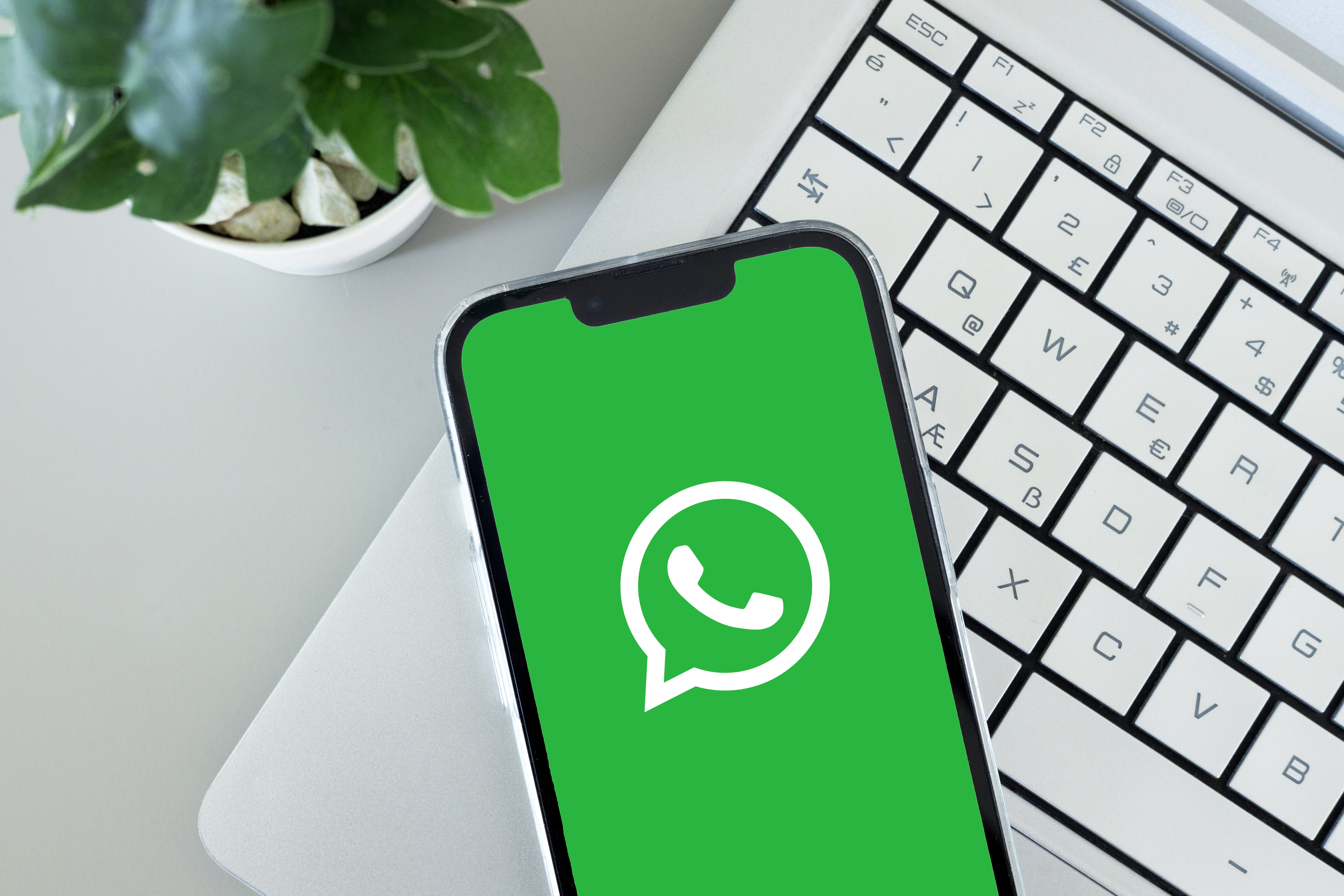 Seguridad en tu WhatsApp Business: consejos para proteger tu negocio