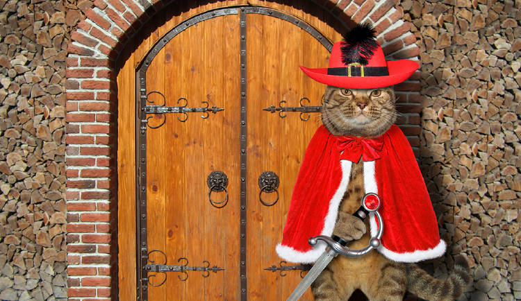 Yoigo Empresas_ El Gato con Botas como ejemplo de buena gestión empresarial Yoigo Empresas_ El Gato con Botas como ejemplo de buena gestión empresarial