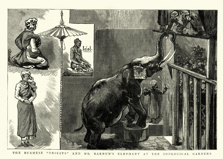 barnum barnum