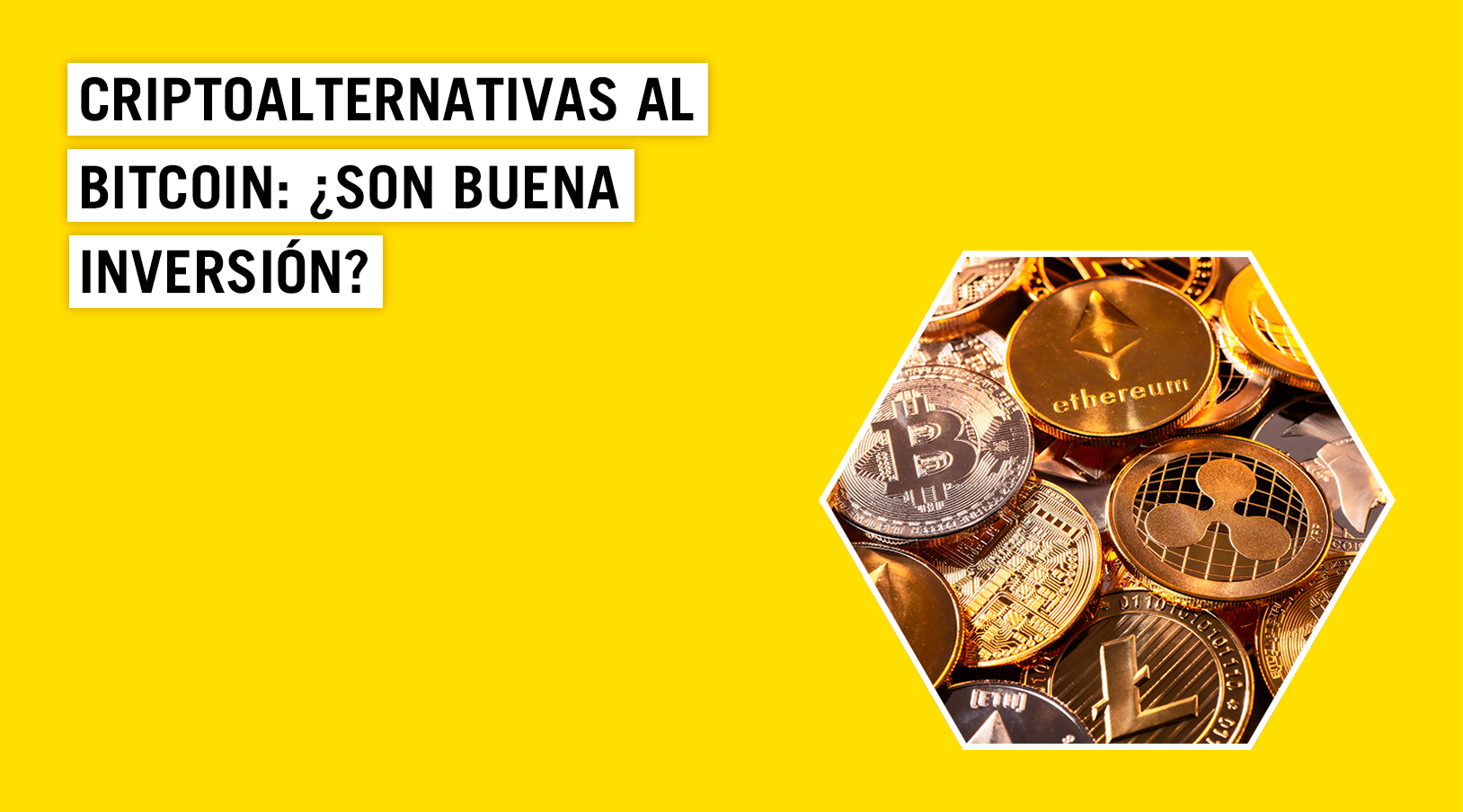 Criptomonedas alternativas al bitcoin: ¿Oportunidades reales de inversión?  | Blog Empresas