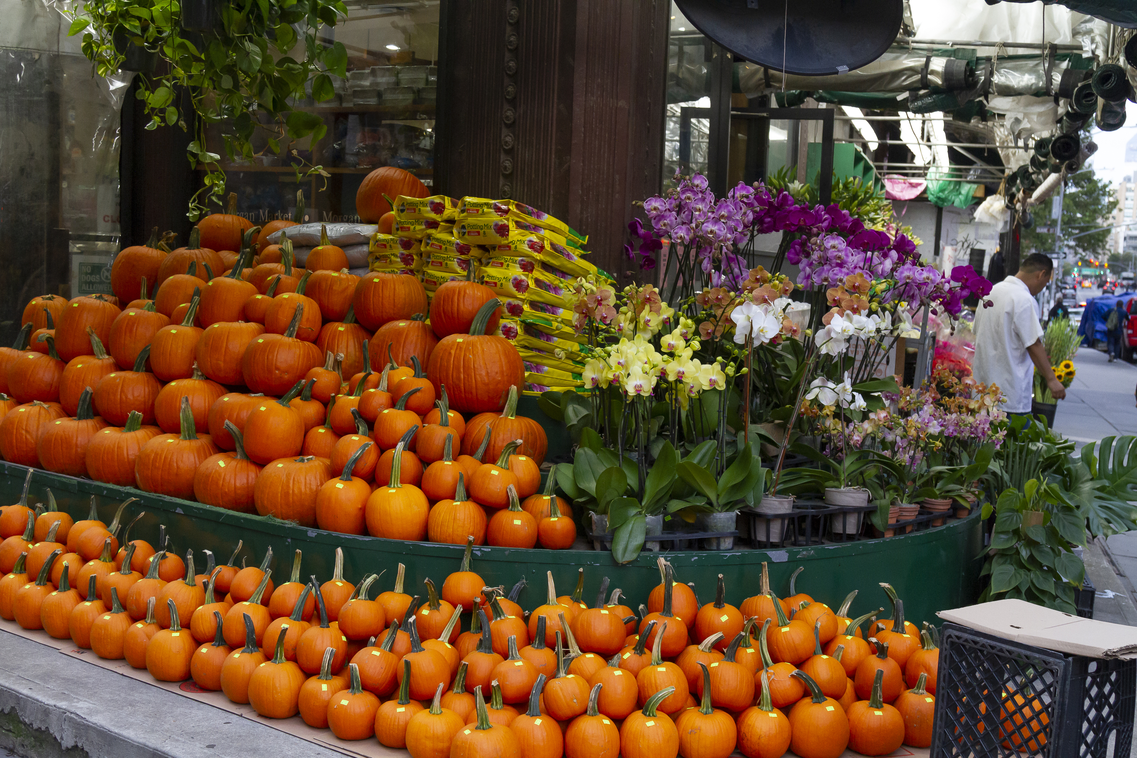 Halloween: la temporada ideal para dar vida a tu negocio