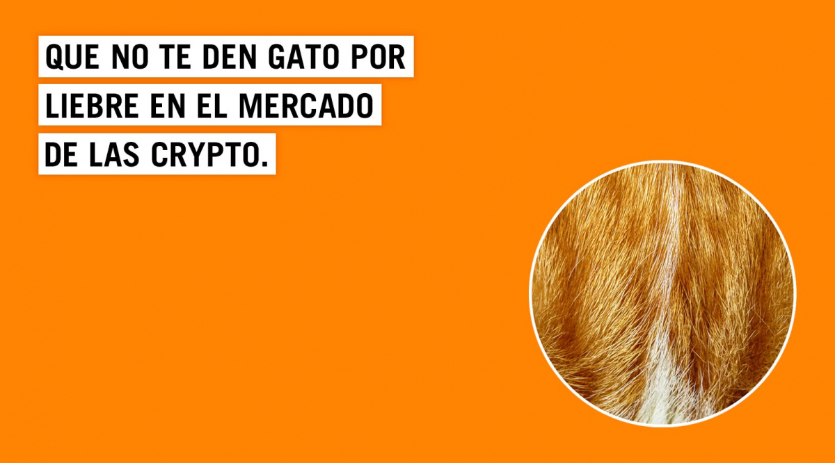 Criptomonedas: cómo saber en las que no deberías invertir | Blog Empresas