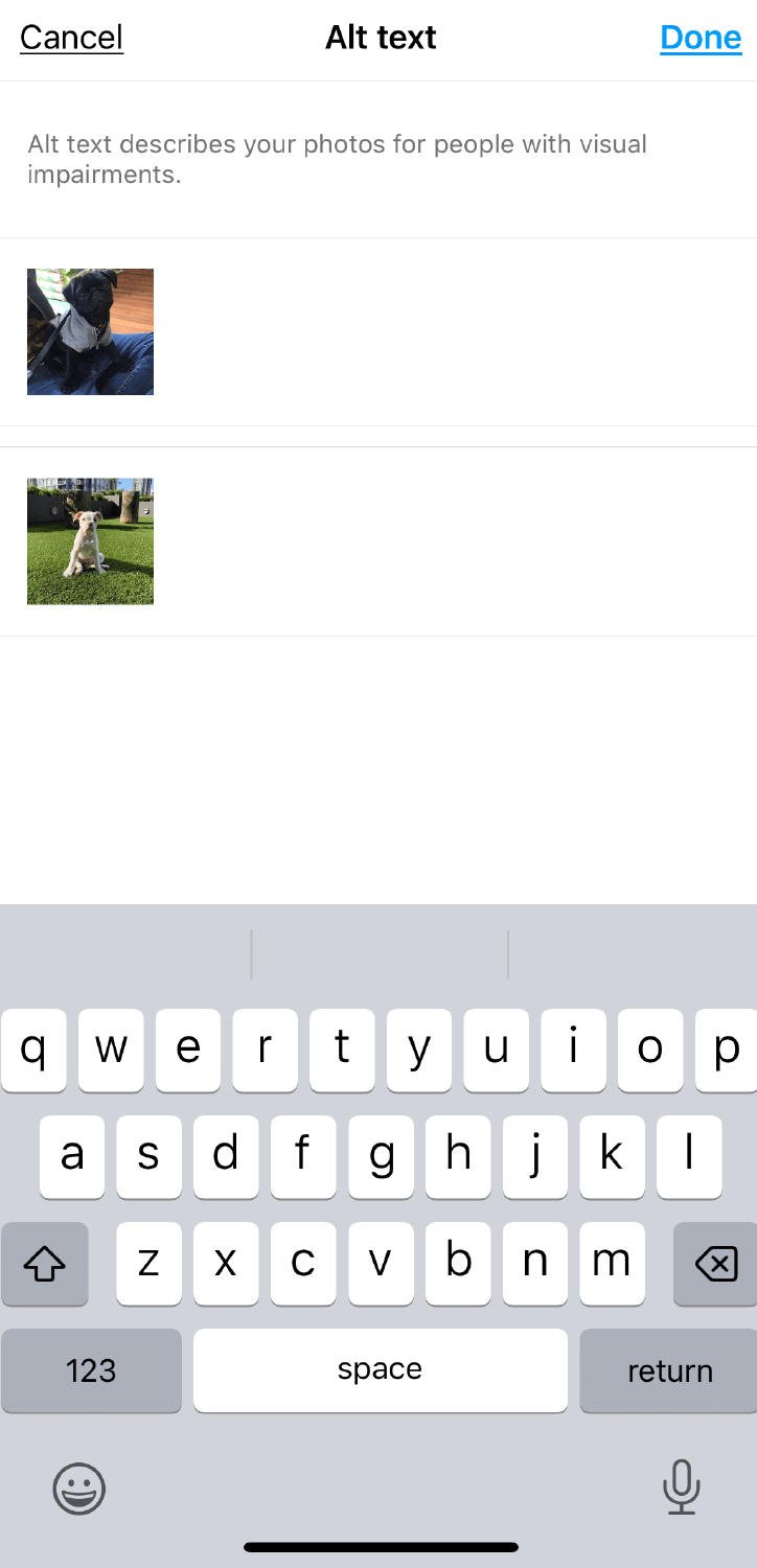 Alt instagram Alt instagram