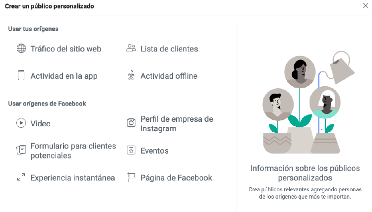 crear_publico_personalizado crear publico personalizado