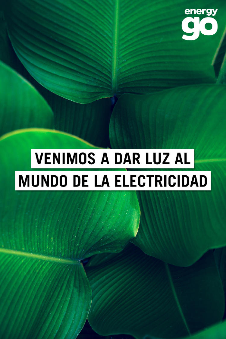 2020-Diciembre-Portada-hojas-logo (1) 2020-Diciembre-Portada-hojas-logo (1)