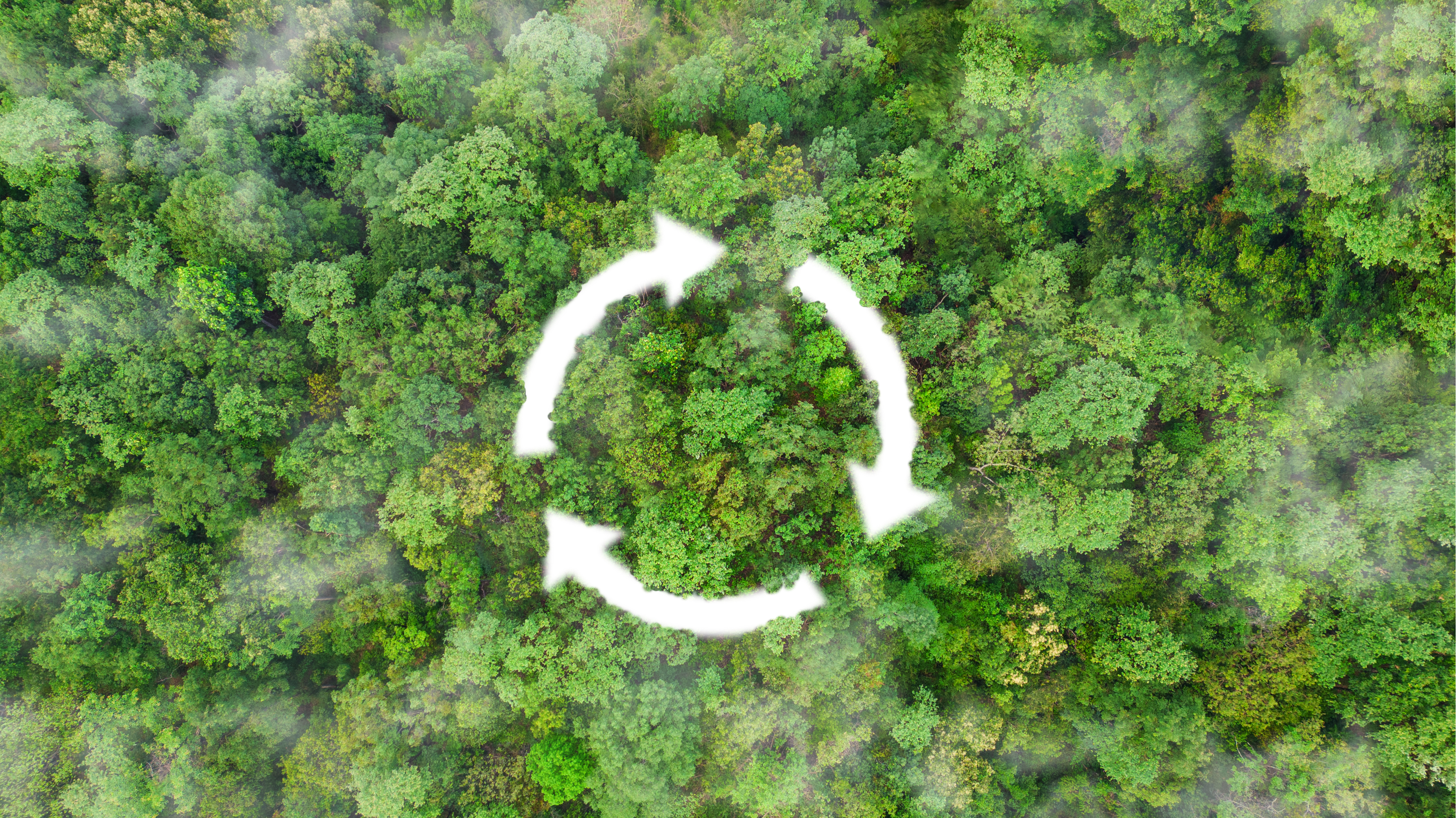 Qu&eacute; es la econom&iacute;a circular en empresa: ventajas y desventajas